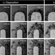 Image for article titled This Is What a Li-On Electrode Looks Like as It Drains and Charges